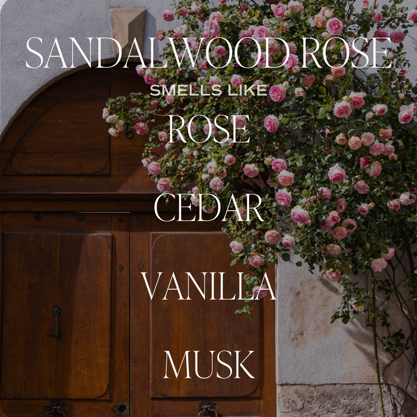 Sandalwood Rose 11 oz Soy Candleu