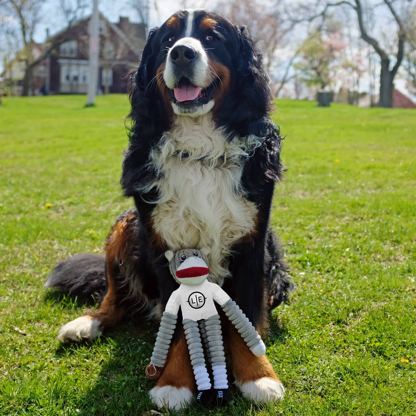 NCAA South Carolina Gamecocks Team Sock Monkey