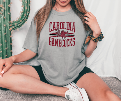 Vintage USC Gamecocks
