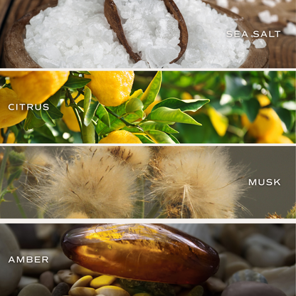 Salt and Sea 15 oz Soy Candle