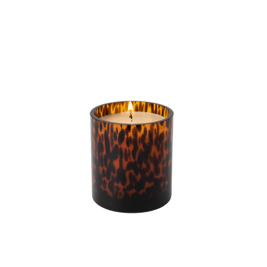 Sweet Grace Collection Candle #064 | Tortoise Candle
