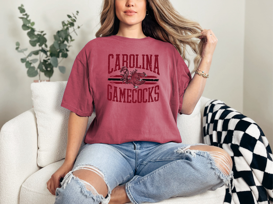 Vintage USC Gamecocks