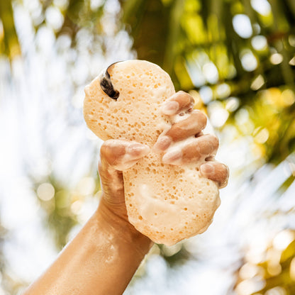 Sweet Grace Body Wash Sponge